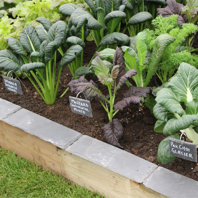 How to prepare your garden for spring – 9 tasks that will refresh your ...