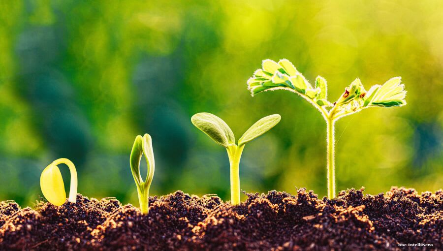 Sukuk and bond prices maintain strong correlation despite volatility<br><br>