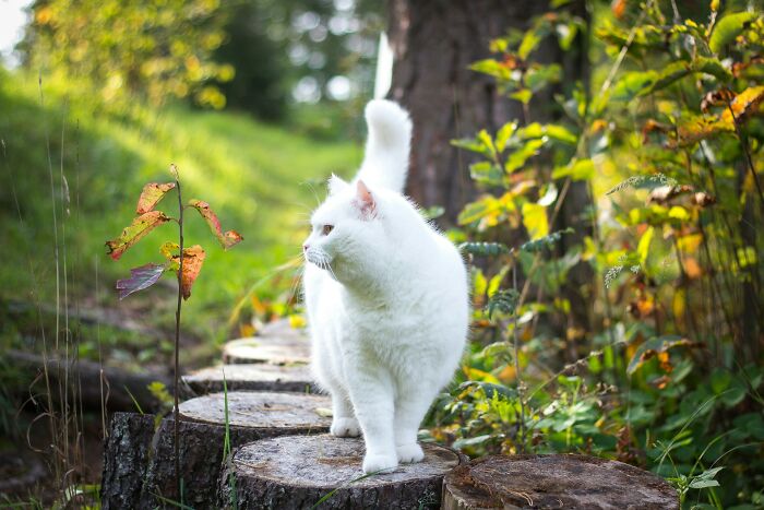 “Veterinarians, What Are The Funniest Pet Names You’ve Had Come Into Your Clinic?” (65 Stories)