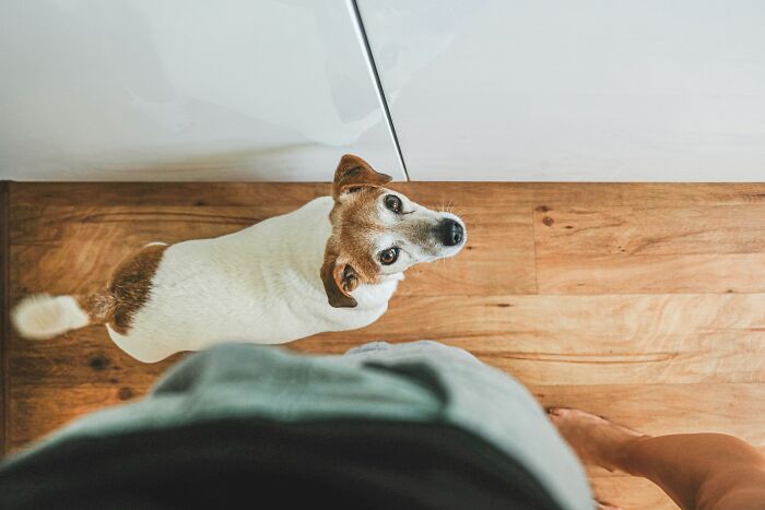 “Veterinarians, What Are The Funniest Pet Names You’ve Had Come Into Your Clinic?” (65 Stories)