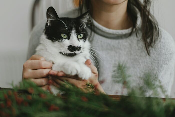 “Veterinarians, What Are The Funniest Pet Names You’ve Had Come Into Your Clinic?” (65 Stories)