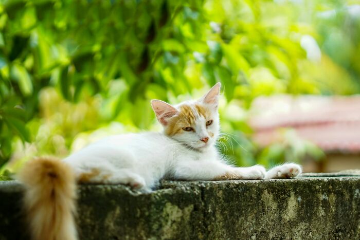 “Veterinarians, What Are The Funniest Pet Names You’ve Had Come Into Your Clinic?” (65 Stories)