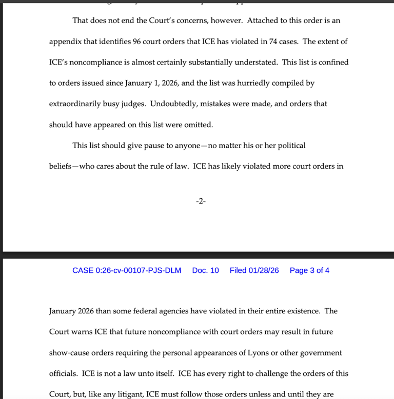 ICE and Border Patrol in Minnesota − accused of violating 1st, 2nd, 4th ...