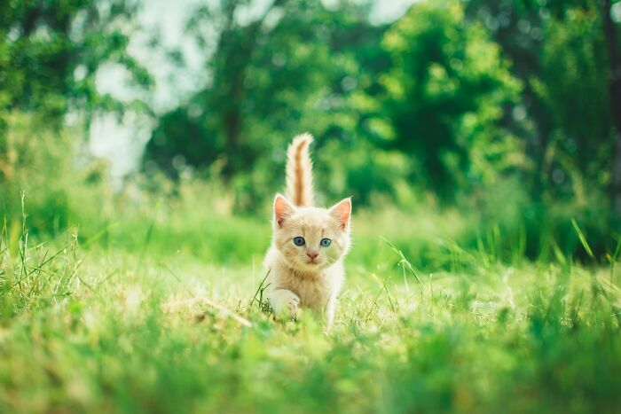 “Veterinarians, What Are The Funniest Pet Names You’ve Had Come Into Your Clinic?” (65 Stories)