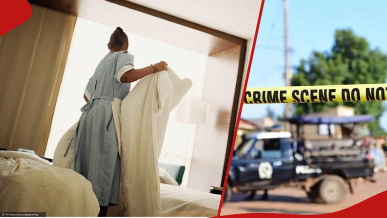 Maid jailed 2 years for stealing gun, KSh 828k while employer was out ...