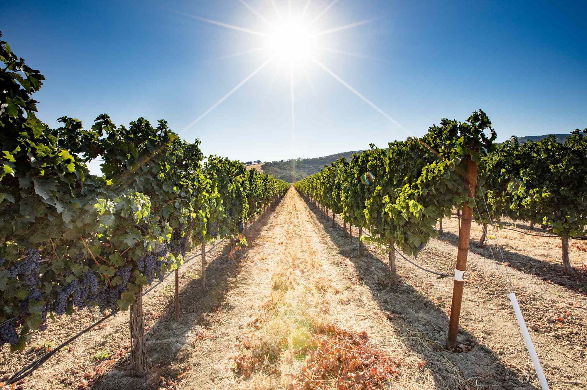 i-live-in-california-and-this-underrated-wine-region-is-a-rustic-gem