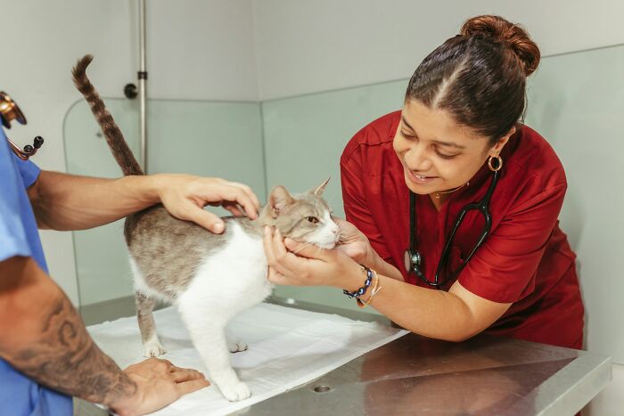 “Veterinarians, What Are The Funniest Pet Names You’ve Had Come Into Your Clinic?” (65 Stories)