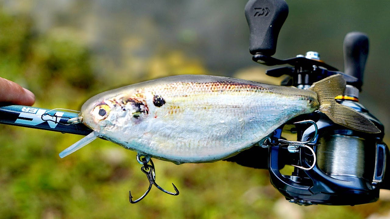Creating ultra-realistic shad jerkbait for fishing success