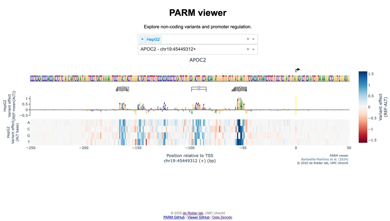Cracking the rules of gene regulation with experimental elegance and AI
