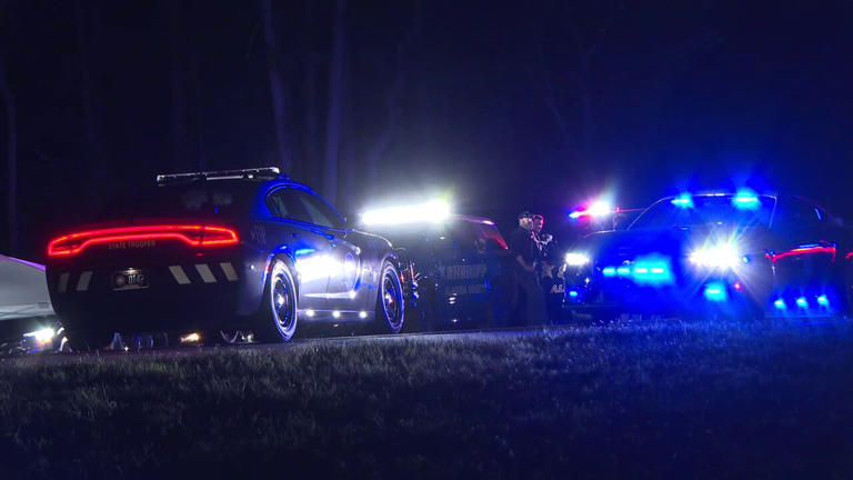 Union County double murder suspect dies on I-75 in Alachua County after ...