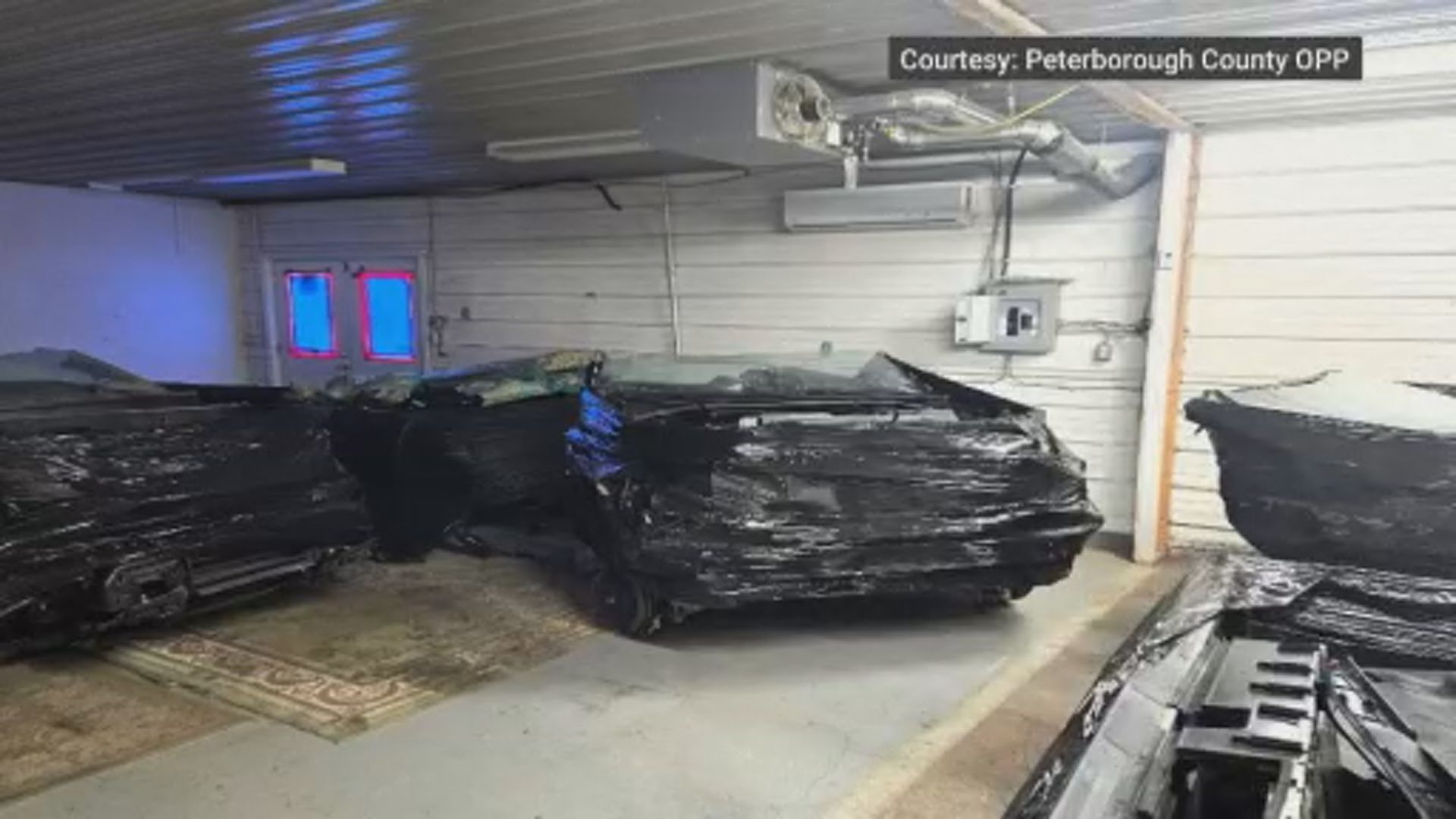 Toronto man arrested for theft after chop shop discovered north of ...