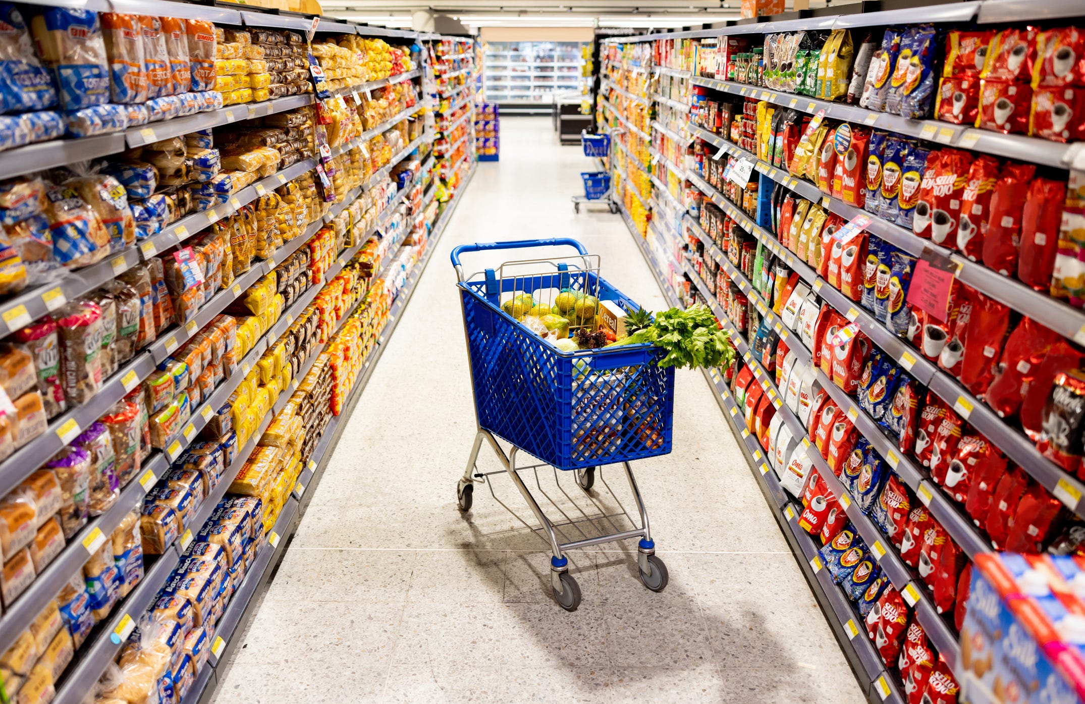 Costco vs. Trader Joe's, WinCo vs. Yim's in grocery bracket semifinals