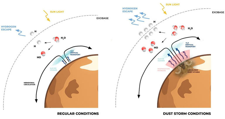 Diagram illustrating the atmospheric response to a localized dust storm in the Northern Hemisphere during the local summer season. High dust concentrations significantly increase the absorption of solar radiation, leading to greater atmospheric warming, especially in the middle atmosphere. Furthermore, the increased atmospheric circulation associated with the dust storm enhances the vertical transport of water vapor from the lower atmosphere, promoting water injection at higher altitudes and increasing hydrogen escape from the exobase. Credit: Communications Earth & Environment (2026). DOI: 10.1038/s43247-025-03157-5