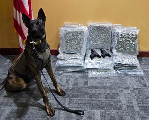 RCSO arrests alleged gang leader in joint operation with local law ...