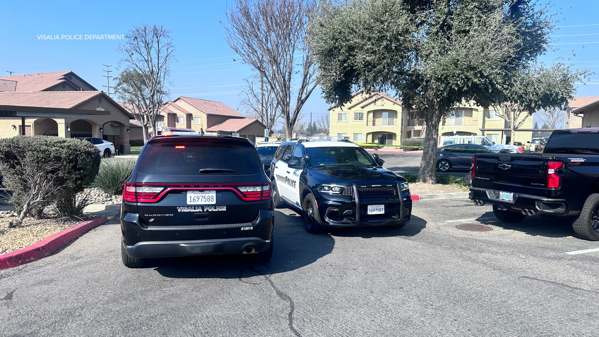 74-year-old woman dies after hit-and-run suspect stabs her after ...
