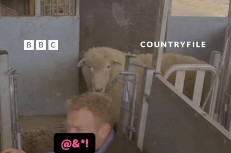 Countryfile star Adam Henson swears as powerful sheep knocks him over ...