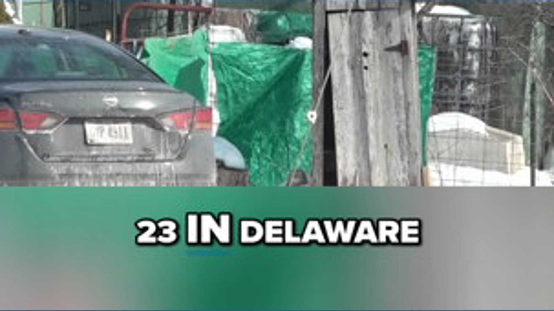 Mother, daughter charged in Delaware County animal cruelty case