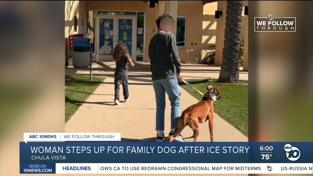 Chula Vista woman fosters family dog after kids' parents detained by ICE