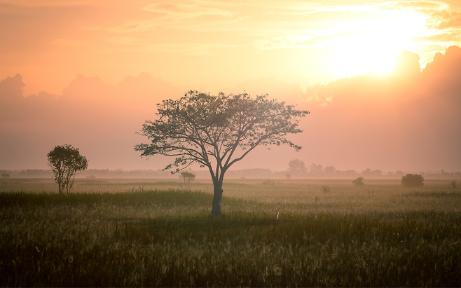 이재용 회장이 말한 살면서 절대 아끼면 안되는 4가지