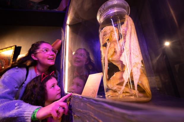 Online portal opening up childhood favourites to the public