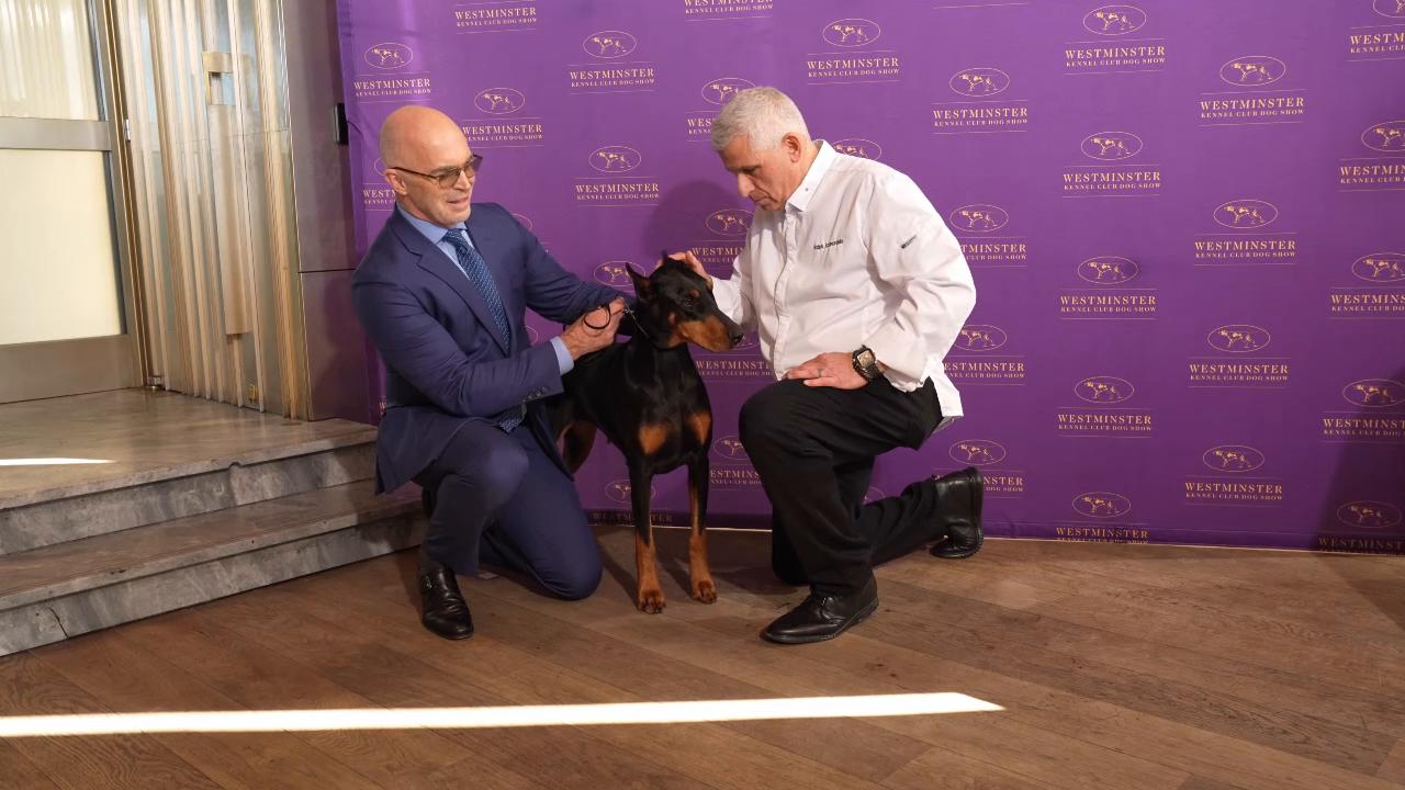 Westminster Kennel Club Dog Show champion's lunch - 67397730