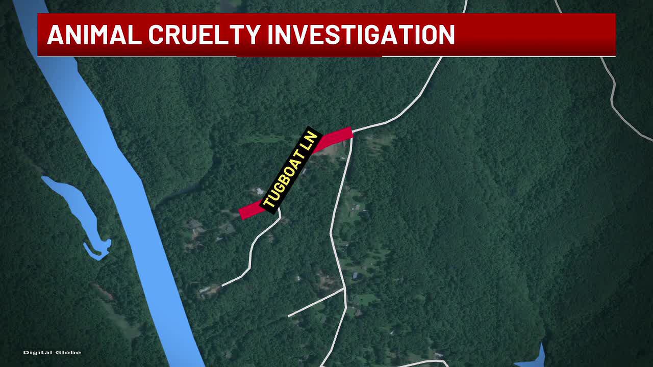 Animal cruelty investigation underway in Walker County after multiple ...