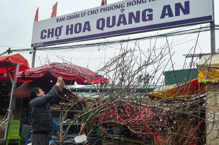 Thị trường hoa Hà Nội ngày giáp Tết: Đào giữ giá, tuyết mai tiêu thụ chậm