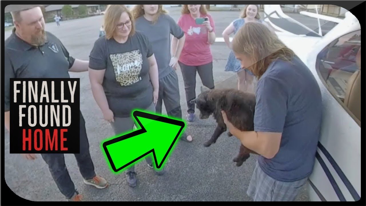 10 yrs and 1,600 miles later, missing dog finally finds his way home!
