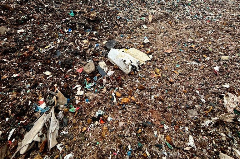 It's one of the biggest illegal waste dumps ever found - and it will ...
