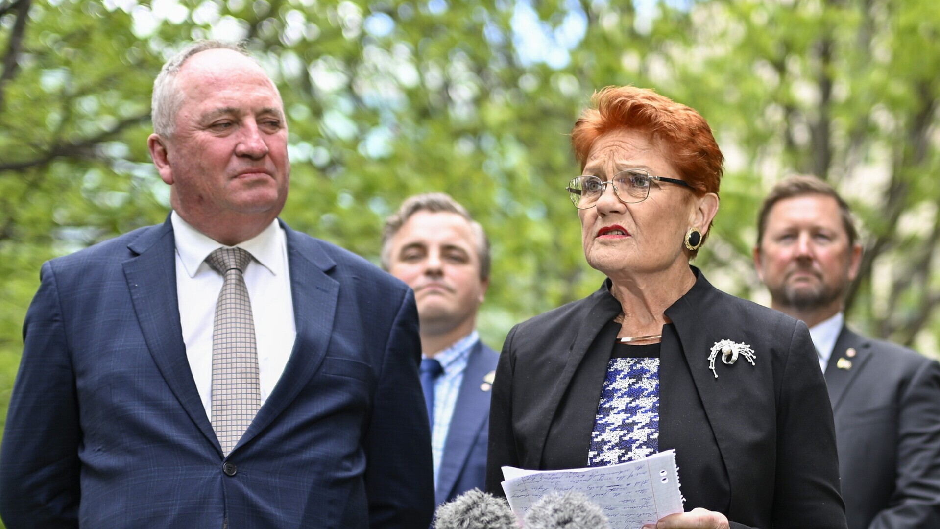 One Nation looking into 'investment schemes and secret agreements'
