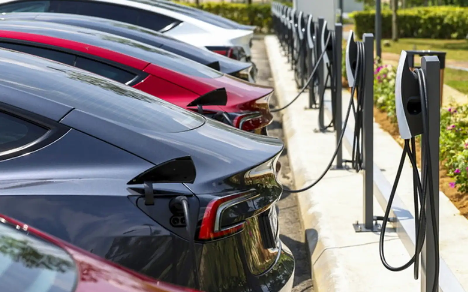 Cheap EVs come with hidden costs, industry players warn