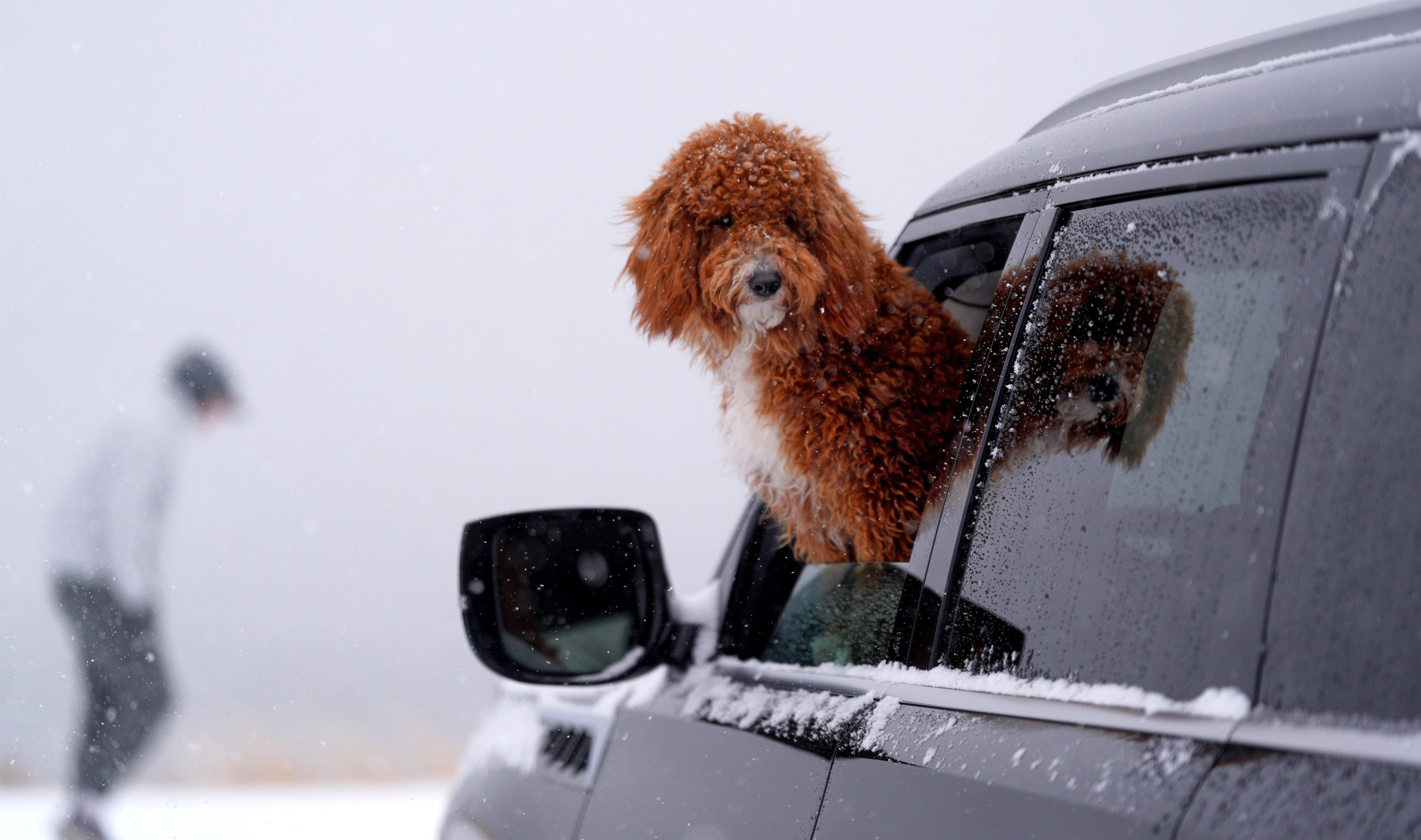 Forecasters expect a strong polar vortex. What will that mean for ...
