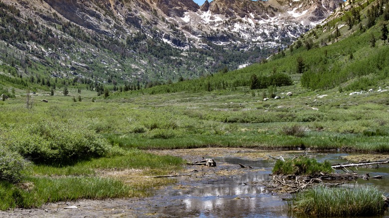 A valley in the Ruby Mountains
