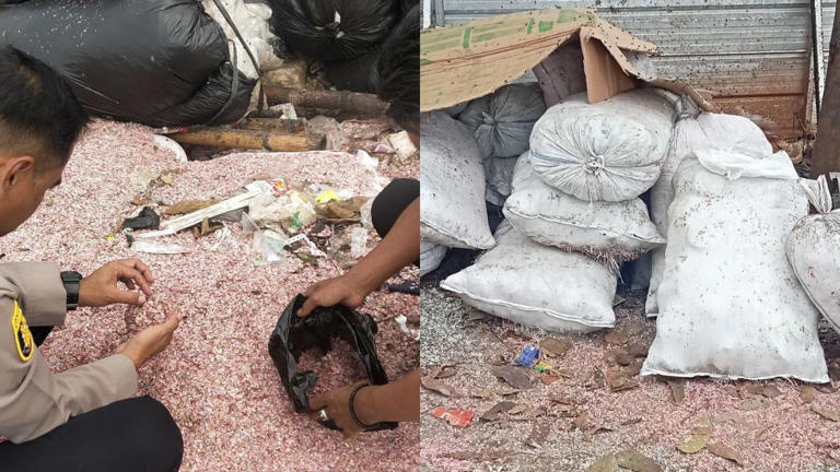 CACAHAN UANG DI BEKASI - Kapolsek Setu AKP Usep Armansyah bersama pemilik lahan TPS liar Haji Santo melakukan pengecekan temuan cacahan pecahan uang di Desa Taman Rahayu, Kecamatan Setu, Kabupaten Bekasi. Rabu (422026). (Dokumentasi Polisi)
