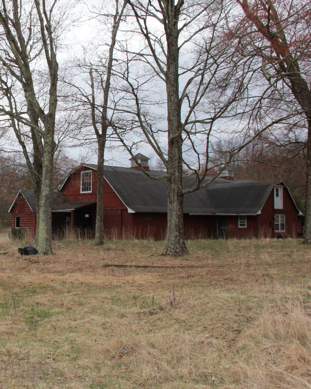 Here's how 100 acres of woods in Passaic County became a new park
