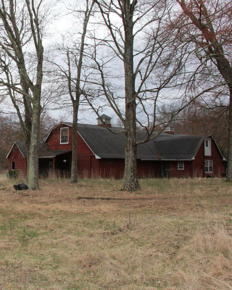 Here's how 100 acres of woods in Passaic County became a new park