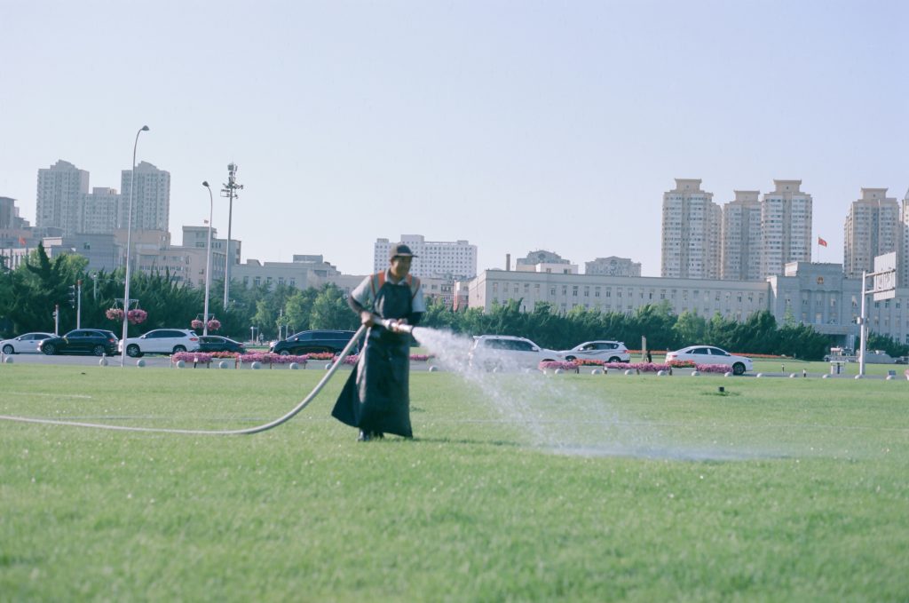 Picture of Lawn care habits that damage grass