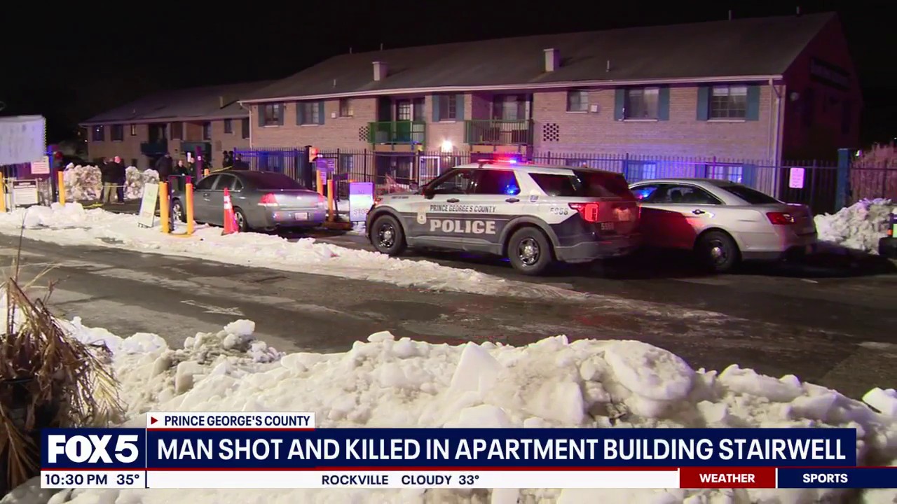 Man found shot to death in apartment complex stairwell, Prince George's ...