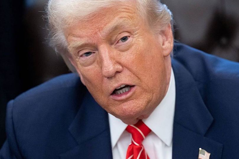 Donald Trump slams 'worst reporter' as he loses it live on CNN in ...