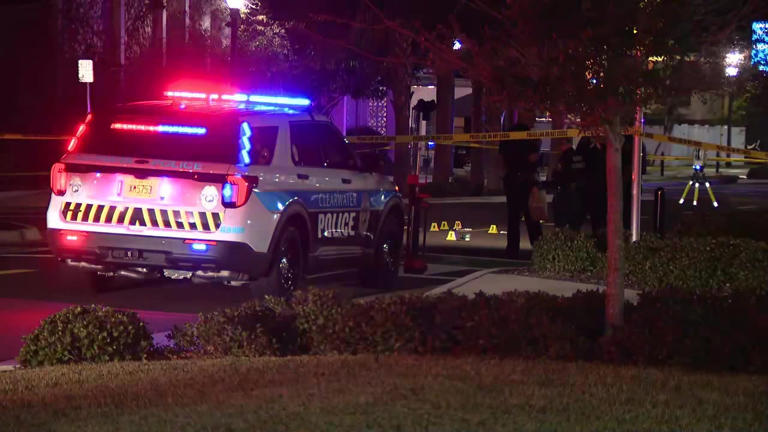 Car located in fatal Clearwater hit-and-run; police looking for driver