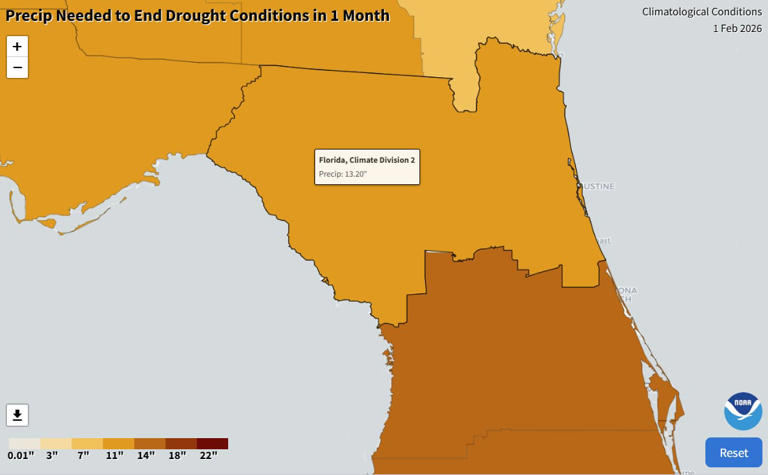 NCFL drought update: Multiple wildfires and burn bans as drought ...