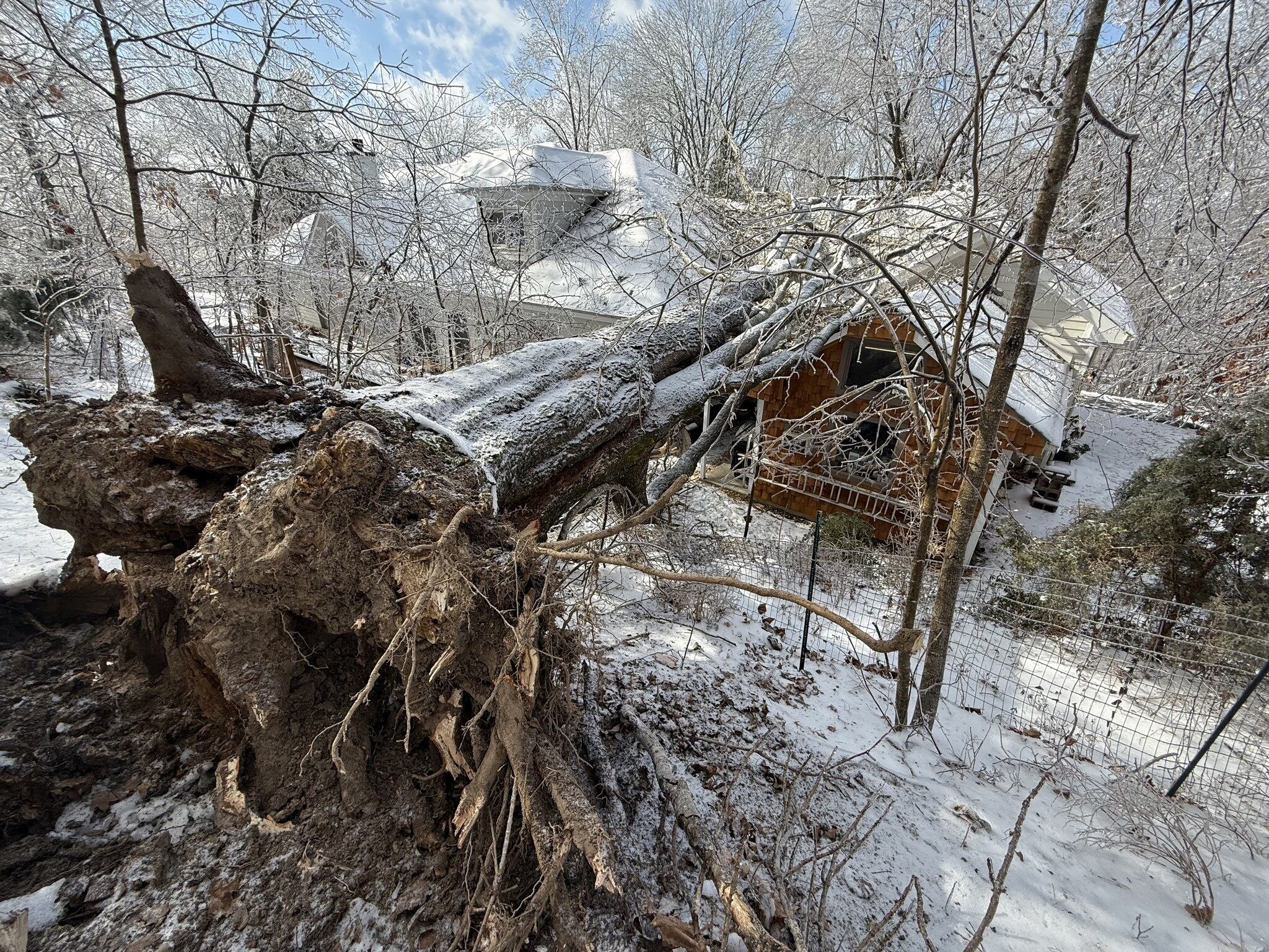 FEMA approves debris removal assistance for seven Tennessee counties ...