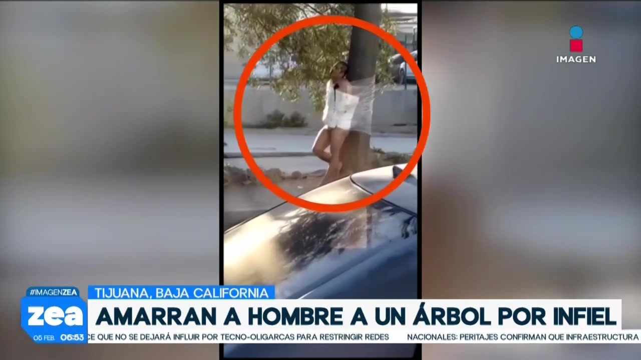 hombre-es-amarrado-a-un-rbol-por-infiel-en-tijuana