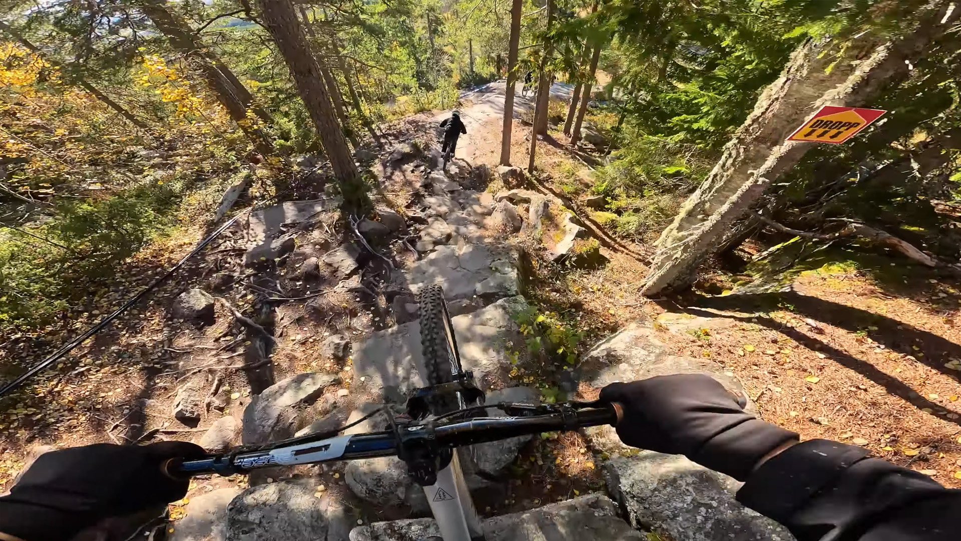 Extreme downhill mountain biking at Järvsö Bike Park