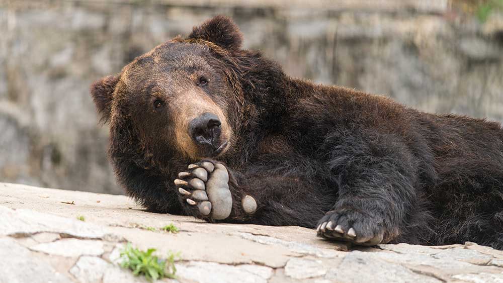 Stock Market Today: Nasdaq, Dow Sink But Small Caps Take It On Chin (Live Coverage)<br><br>