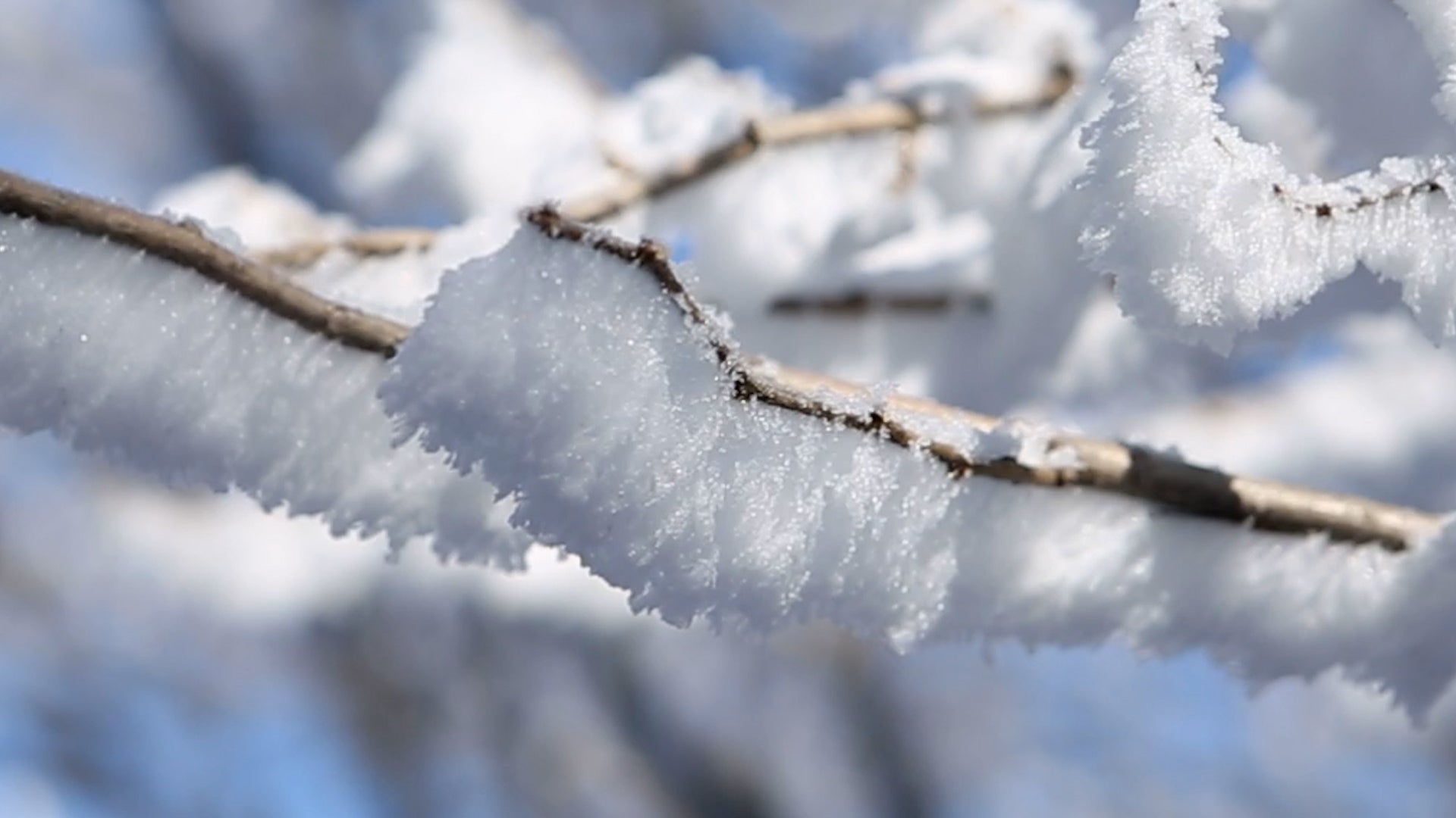 What is rime ice? How is it formed?