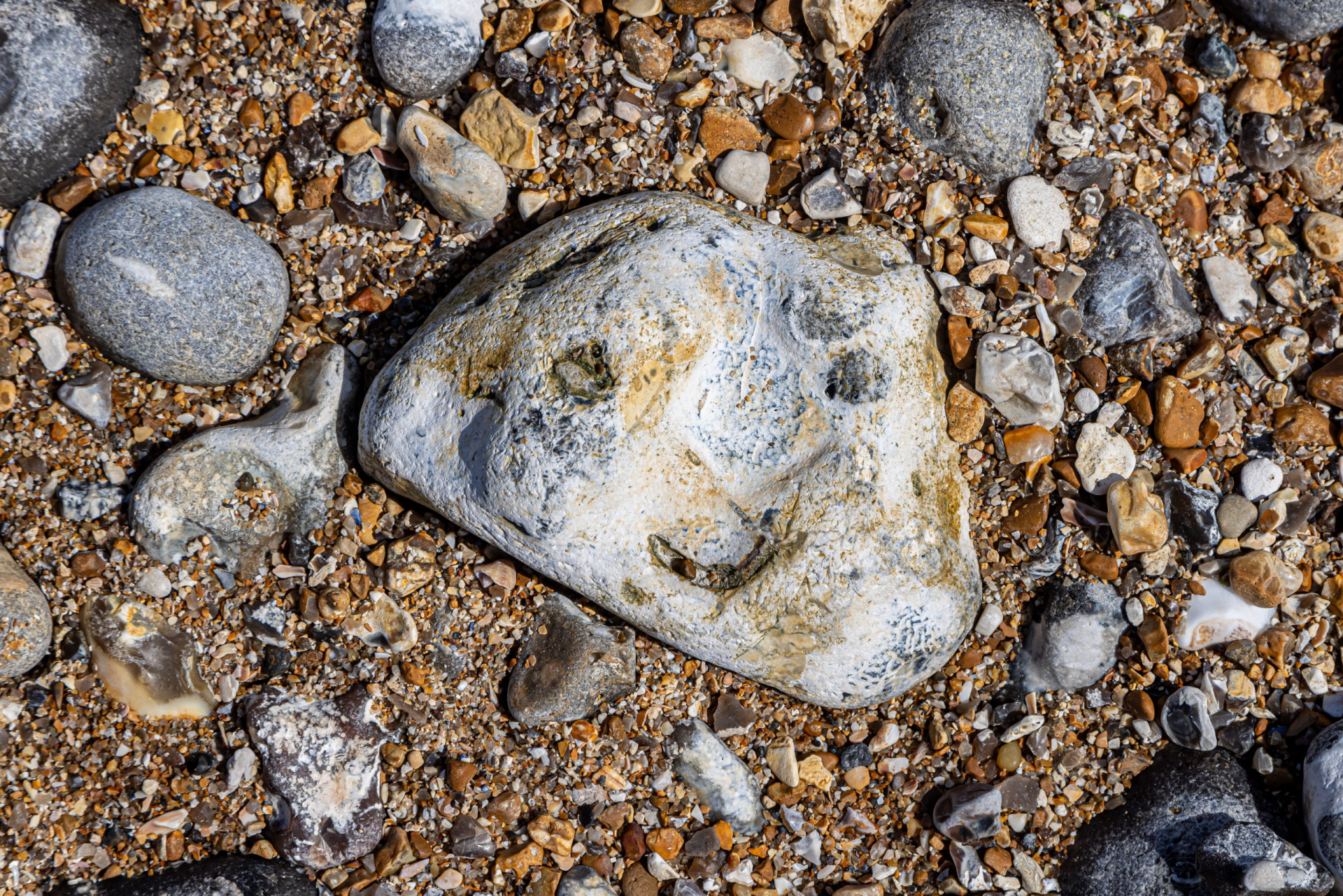 Pareidolia: the science of seeing faces in objects