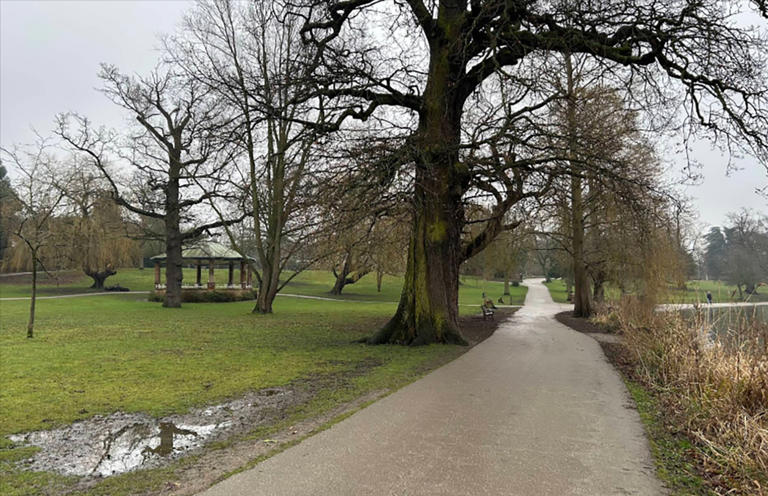 Girl, 2, attacked by two rottweiler-type dogs in a London park