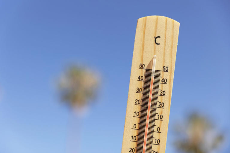 El calor se adelanta y preocupa: la temporada de calor 2026 podría romper récords históricos en México