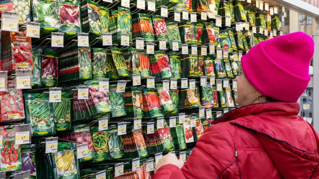 Organic Seeds, Non GMO Seeds, and Heirloom Seeds | Grow Organic